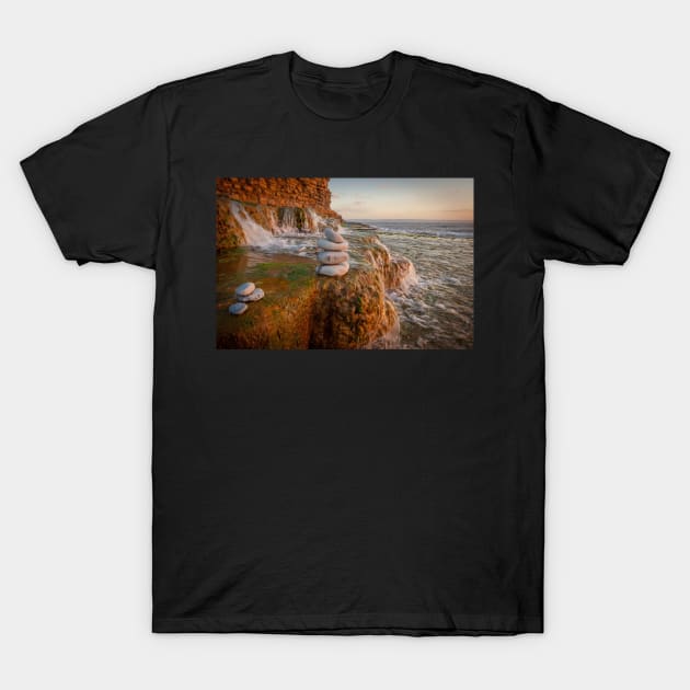 Land and Sea T-Shirt by RJDowns